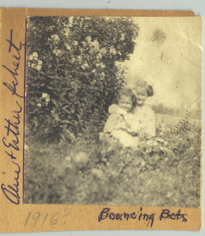 1916_Scheetz, Eshter-Alice2